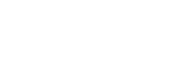 logo 17.png