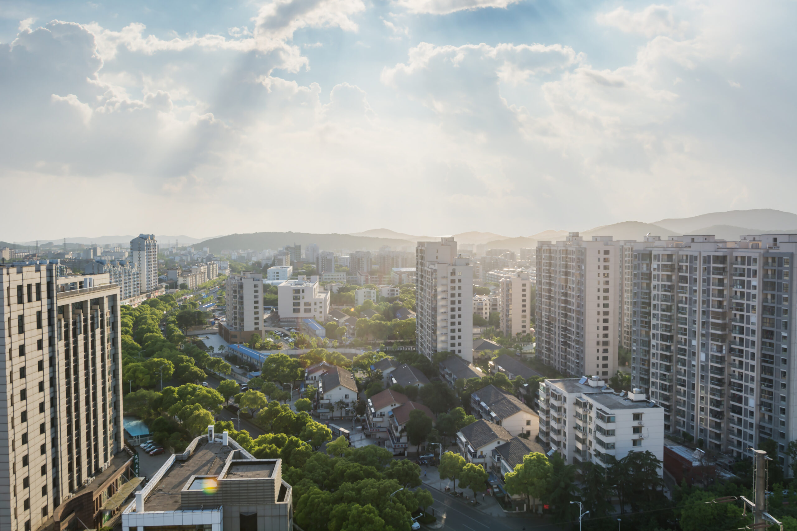 Rustic Elegance view city with buildings trees scaled.jpg